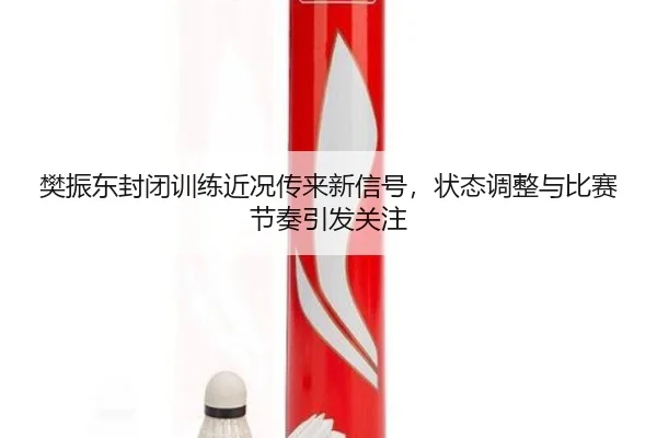 樊振东封闭训练近况传来新信号，状态调整与比赛节奏引发关注（kaiyun）